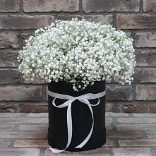 Цветочная композиция из Гипсофила в шляпной коробке в Умёт